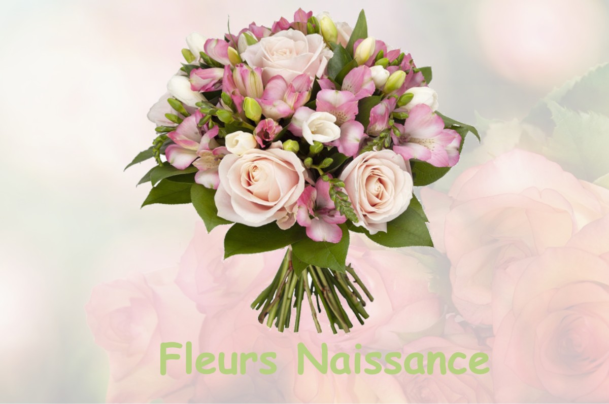 fleurs naissance LA-NEUVILLE-SUR-ESSONNE