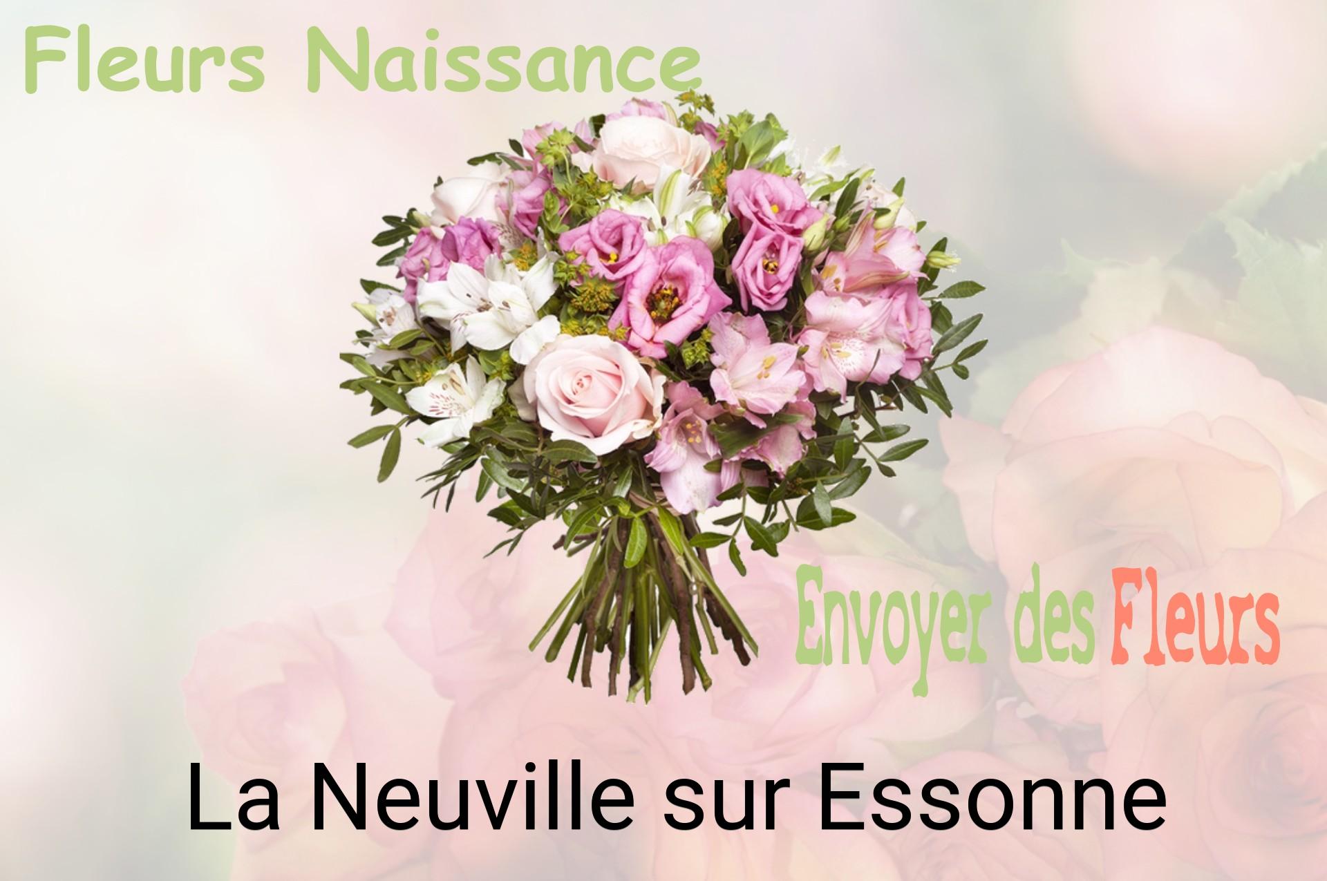 Bouquet de fleurs de naissance livré à La Neuville-sur-Essonne